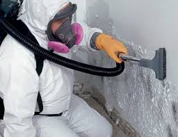 Trusted Beverly, OH Mold Prevention & Removal  Experts